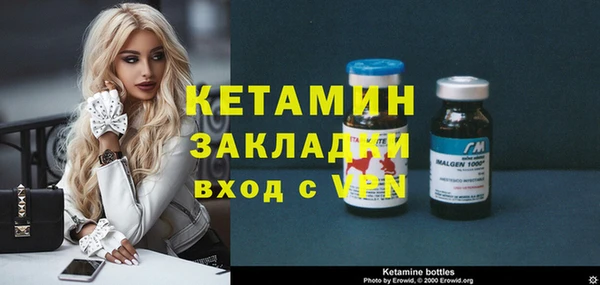 гидра Вязьма