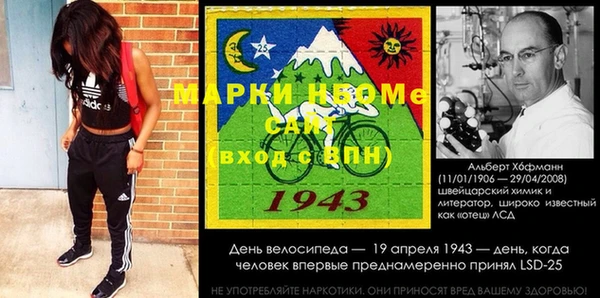 гидра Вязьма