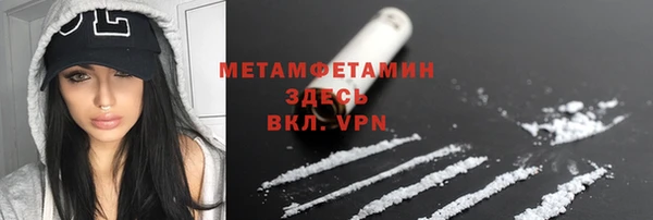 гидра Вязьма