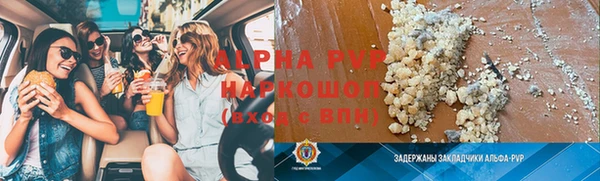 гидра Вязьма