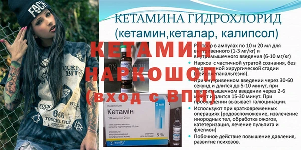 гидра Вязьма